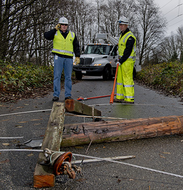 Downed Power Line