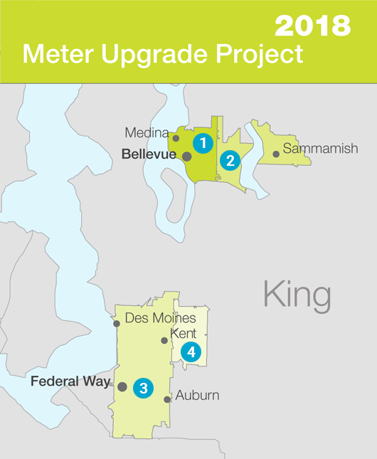 PSE Meter Upgrade Project Map and Schedule