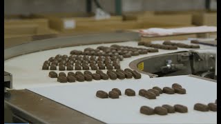 흰색 컨베이어 벨트에 수십 개의 한입 크기의 초콜릿 캔디가 배열되어 있습니다.